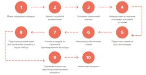 vse-o-tenderah-putevoditel-dlja-uchastnikov-i-organizatorov